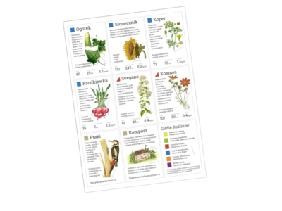 karty warzyw probka