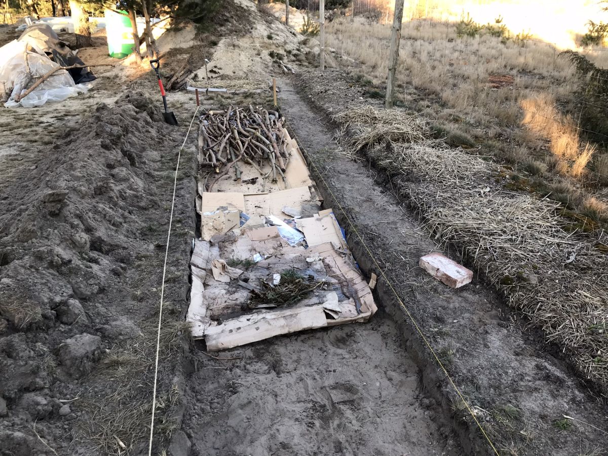 grządka na ziemi piaszczystej dodawanie kartownów i gałęzi