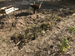 hugelkultur grządka dodawanie gałęzi sosny