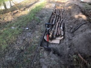 grzadka warzywna na piasku dodawanie gałęzi