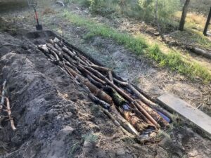 grzadka warzywna na piasku dodawanie gałęzi