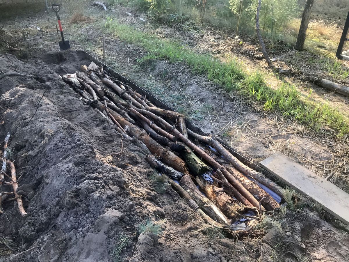 grzadka warzywna na piasku dodawanie gałęzi